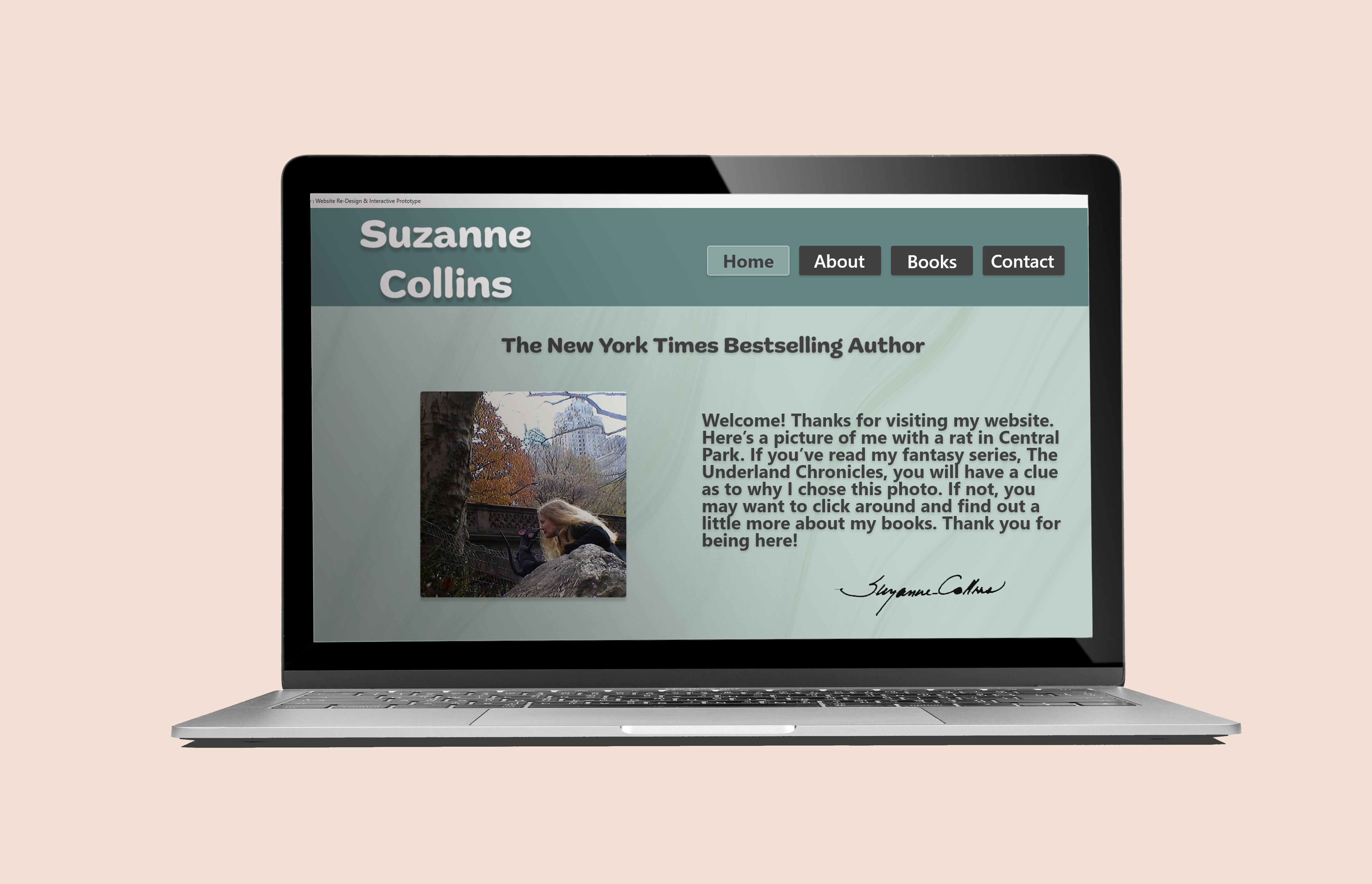 Final Suzanne Collins website redesign